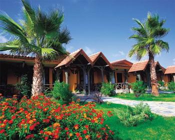 KAMELYA WORLD SELIN 