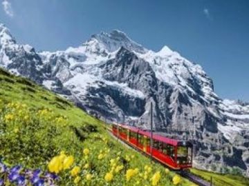 NOEL DÖNEMİ ÖZEL: ALSACE, COLMAR & TREN VE TELEFERİK İLE ALP ZİRVESİ (ZÜRİH - STUTTGART)