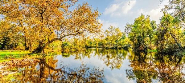 EDİRNE İĞNEADA LONGOZ ORMANLARI TURU (1 GECE KONAKLAMA)