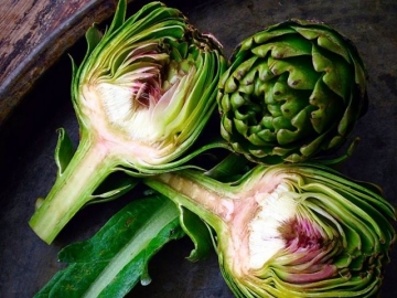 URLA ENGİNAR FESTİVALİ