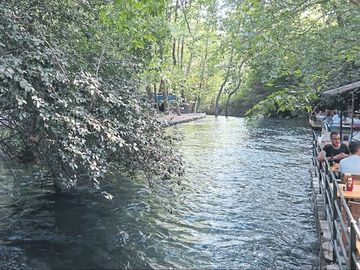 KÖYCEĞİZ GÖCEK EKİNCİK TURU