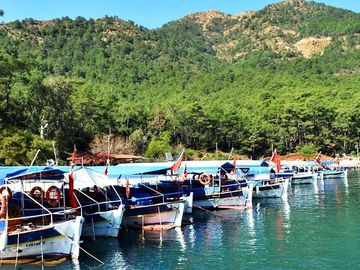 KÖYCEĞİZ GÖCEK EKİNCİK TURU