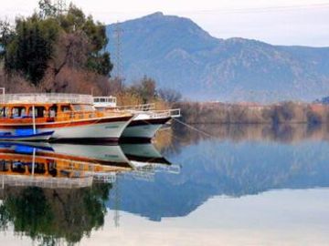 KÖYCEĞİZ GÖCEK EKİNCİK TURU