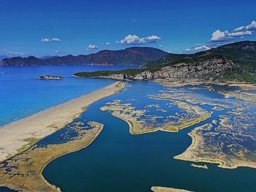 KÖYCEĞİZ GÖCEK EKİNCİK TURU