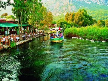 KÖYCEĞİZ GÖCEK EKİNCİK TURU