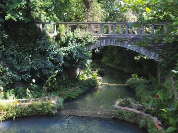 TİRE SALI PAZARI TURU