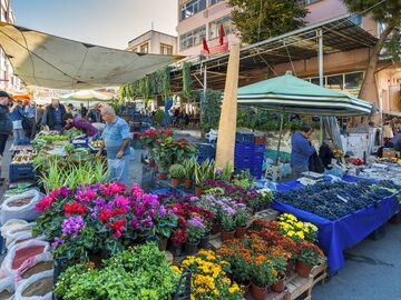 TİRE SALI PAZARI TURU