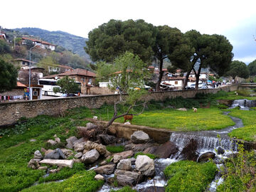 TİRE SALI PAZARI TURU