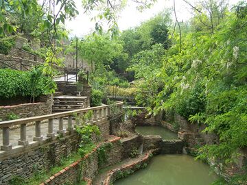 TİRE SALI PAZARI TURU