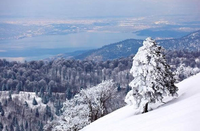 KARTEPE ORMANYA SAPANCA TURU