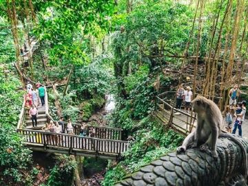 PHUKET SINGAPUR BALI