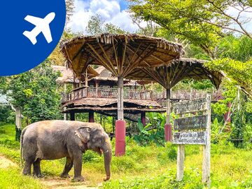 BANGKOK & PHUKET TURU