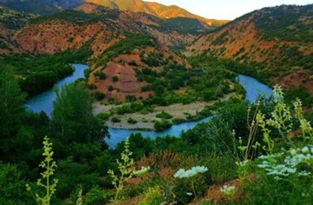 UÇAKLI TUNCELİ KEMALİYE DİVRİĞİ TURU