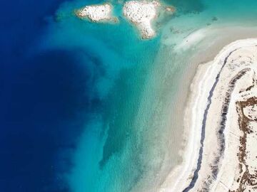 LAVANTA TARLALARI SALDA GÖLÜ TURU