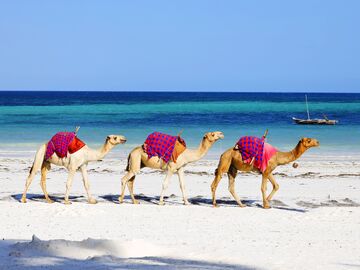 VİZESİZ SHARM EL SHEİKH TURU 3 GECE