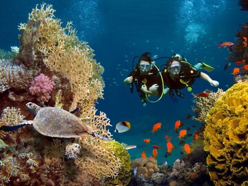 VİZESİZ SHARM EL SHEİKH TURU 3 GECE