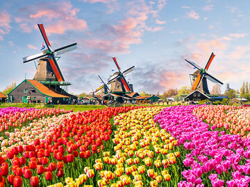 UÇAKLI BENELÜX&PARİS