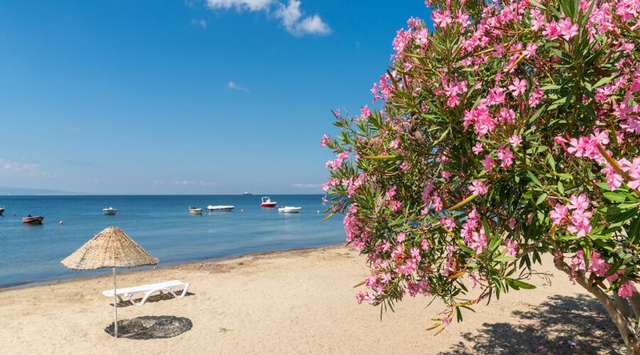 ERDEK AVŞA ADASI TURU