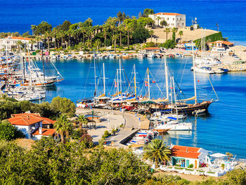 BADEM ÇİÇEĞİ  DATÇA TURU