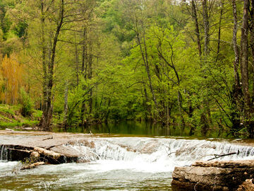 EDİRNE İĞNEADA LONGOZ ORMANLARI TURU (1 GECE KONAKLAMA)