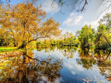 EDİRNE İĞNEADA LONGOZ ORMANLARI TURU (1 GECE KONAKLAMA)