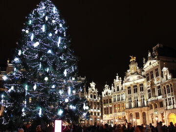 YILBAŞI BÜYÜSÜ HOLLANDA & ALMANYA 2026