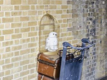 SÖMESTR VE BAYRAM DÖNEMİ LONDRA TURU (HARRY POTTER TURU DAHİL) 2027