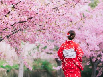 COMFORT JAPONYA & KORE TURU TÜRK HAVA YOLLARI İLE 8 GECE EKSTRA TURLAR VE ÇAY SEREMONİSİ DAHİL ICN-KIX