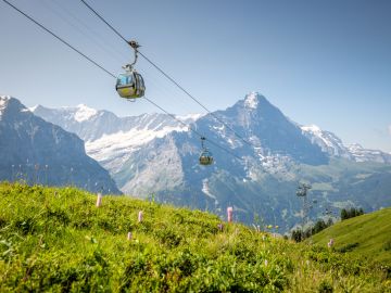 SÖMESTR ÖZEL: ALSACE, COLMAR & TREN VE TELEFERİK İLE ALP ZİRVESİ (STUTTGART - ZÜRİH)